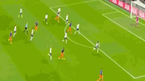 “NBA常规赛：黄蜂败给猛龙”